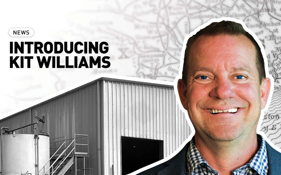 Introducing Kit Williams