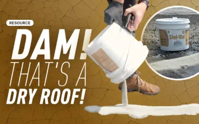 Dam! That’s a Dry Roof!