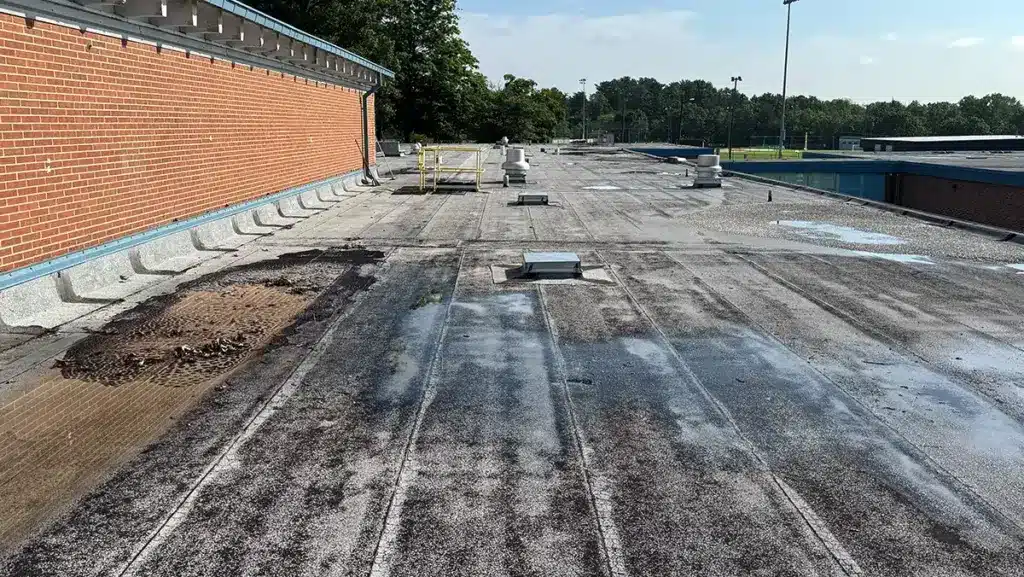 Loose roof granules poor drainage and ponding on old asphalt roof